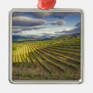 Ornement Carré Argenté Vignoble. Vallée de Napa. Napa. Comté de Napa,