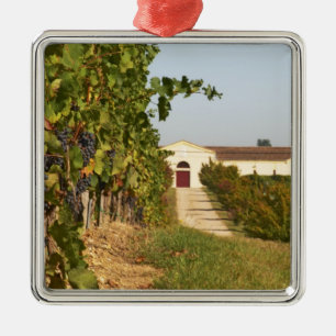 Ornement Carré Argenté Vignobles, vignes de petit verdot et la cave dans