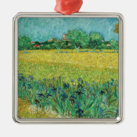 Vincent van Gogh - Champ avec Iris près d'Arles