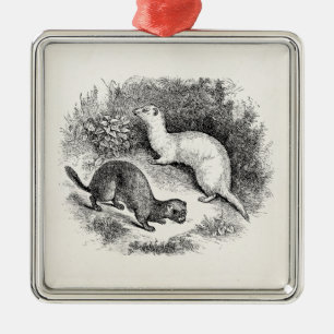 Ornement Carré Argenté Visons vintages de belettes de furets de 1800s de