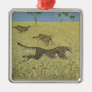 Ornement Carré Argenté Vitesse pure