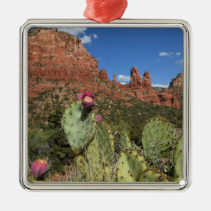 Ornement Carré Argenté Vue des buttes jumelles Sedona, Arizona