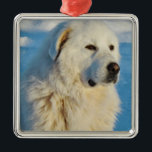 Ornement Carré Argenté White Great Pyrenees Livestock Guardian Dog<br><div class="desc">White Great Pyrenees Livestock Guardian Dog Metal Ornament  
LGD</div>