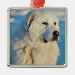 Ornement Carré Argenté White Great Pyrenees Livestock Guardian Dog