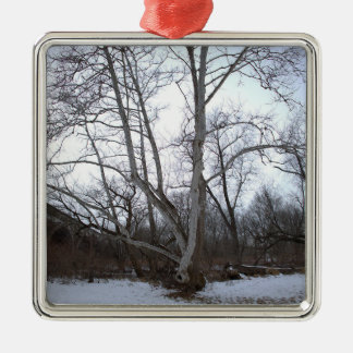 Ornement Carré Argenté Winter Tree in Snow Ornament