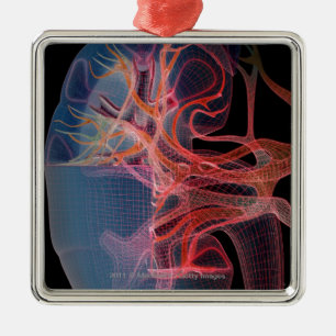 Ornement Carré Argenté Wireframe de l'intérieur d'un rein