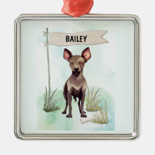 Ornement Carré Argenté Xoloitzcuintli Aquarelle Chien Personnalisé