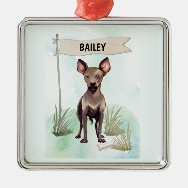 Ornement Carré Argenté Xoloitzcuintli Watercolor Personalized Dog (Devant)