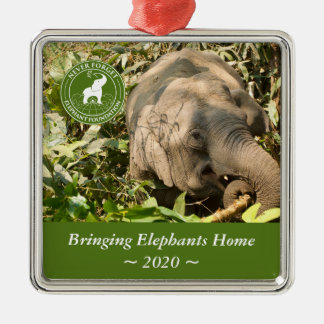 Ornement Carré NFEF