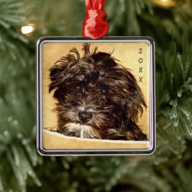 Ornement Carré Schnoodle Premium (Arbre)