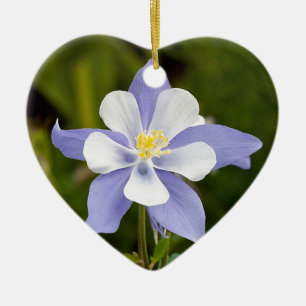 Ornement Cœur En Céramique Beau Columbine