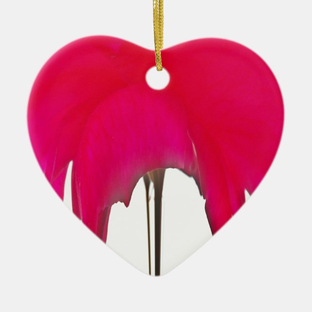 Ornement Cœur En Céramique Belle rose rouge extraordinaire sous le ciel blanc (Devant)