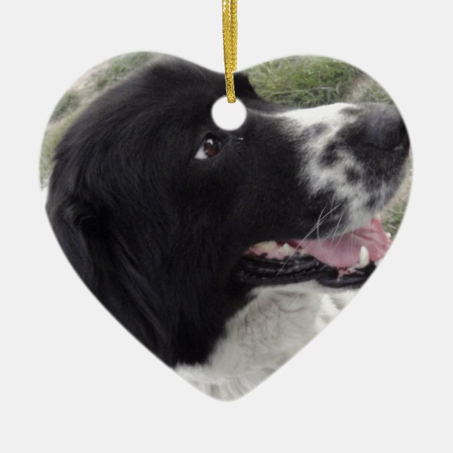 Ornement Cœur En Céramique Chien de berger bulgare de Sara (Devant)