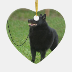 Ornement Cœur En Céramique Chien de Schipperke