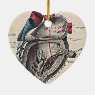 Ornement Cœur En Céramique Coeur anatomique vintage