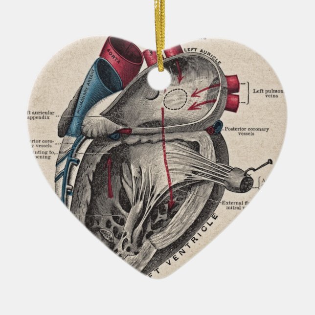 Ornement Cœur En Céramique Coeur anatomique vintage (Devant)
