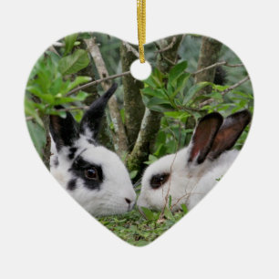 Ornement Cœur En Céramique Couples de lapin