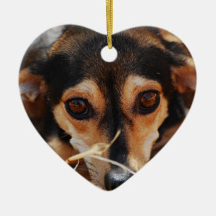 Ornement Cœur En Céramique Doux chien pondre dans le foin