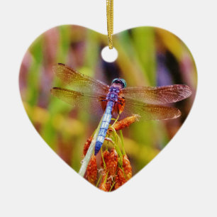 Ornement Cœur En Céramique Dragonfly turquoise sur le carex