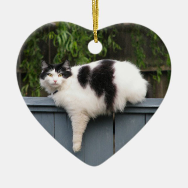 Ornement Cœur En Céramique Gros chat sur la barrière (Devant)