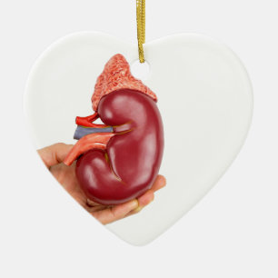 Ornement Cœur En Céramique Main tenant le modèle de rein sur l'arrière - pl