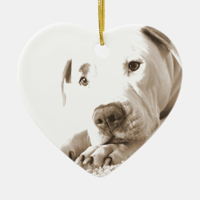 Ornement Cœur En Céramique pitbull blanc et somnolent acte de haine pas race (Devant)