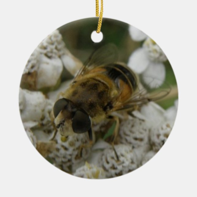 Ornement d'abeilles et de fleurs (Devant)