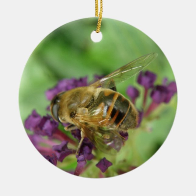 Ornement d'abeilles et de fleurs pourpres (Devant)