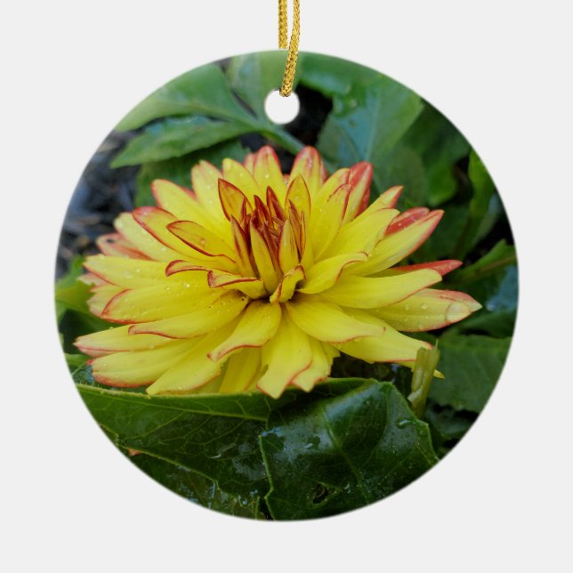Ornement Dahlia (Devant)