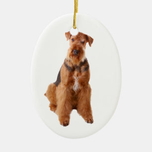 Ornement d'Airedale Terrier