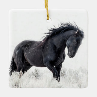 Ornement "Danseuse de glace"