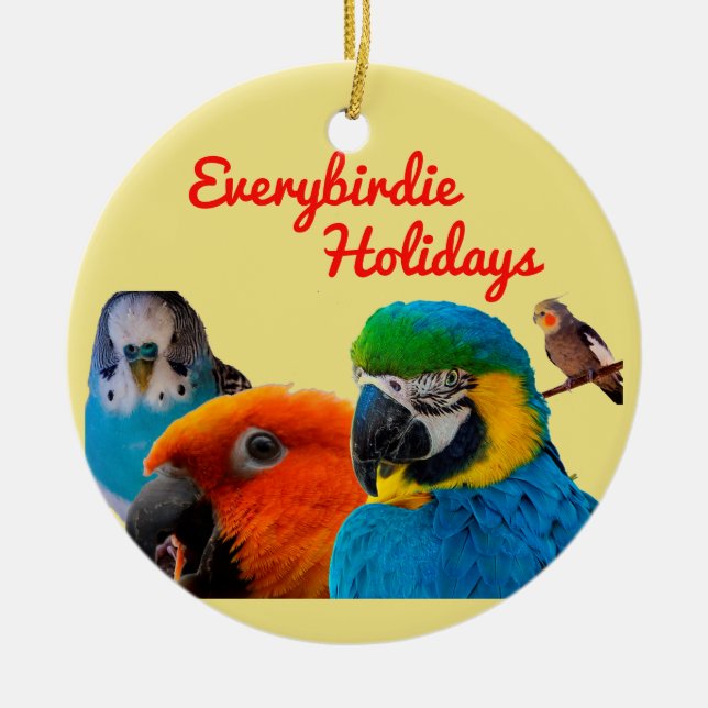 Ornement d'arbre de Noël de chaque birdie (Devant)