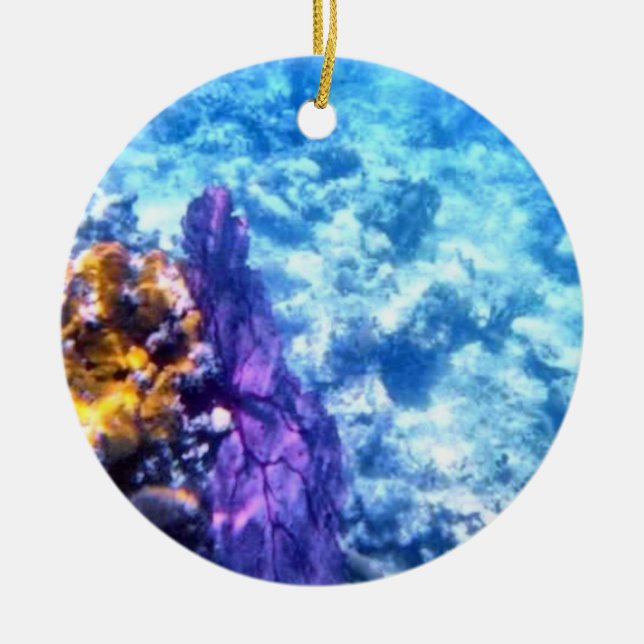 Ornement daté pourpre de fan de mer (Devant)