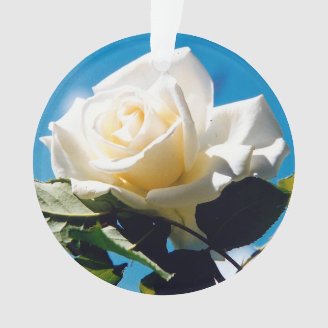 Ornement de beauté Rose blanche (devant)