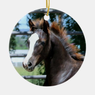 Ornement de bébé Morgan Horse