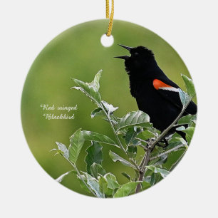 Ornement de Blackbird à ailes rouges