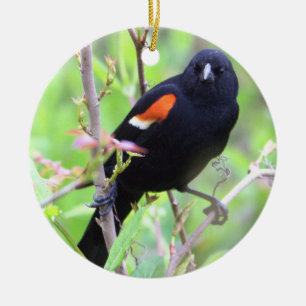 Ornement de Blackbird à ailes rouges