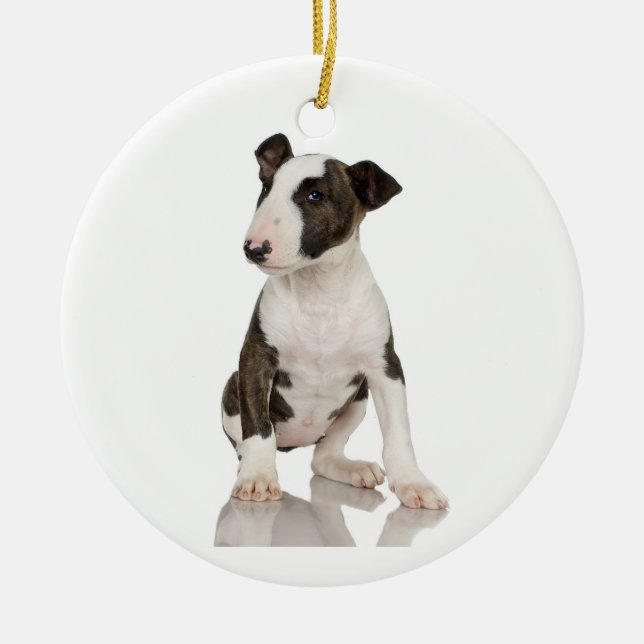 Ornement de bull-terrier (Devant)