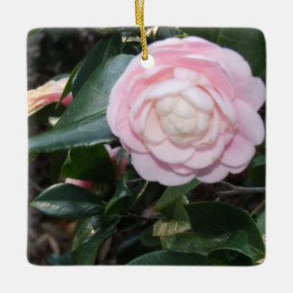 Ornement de Camellia rose