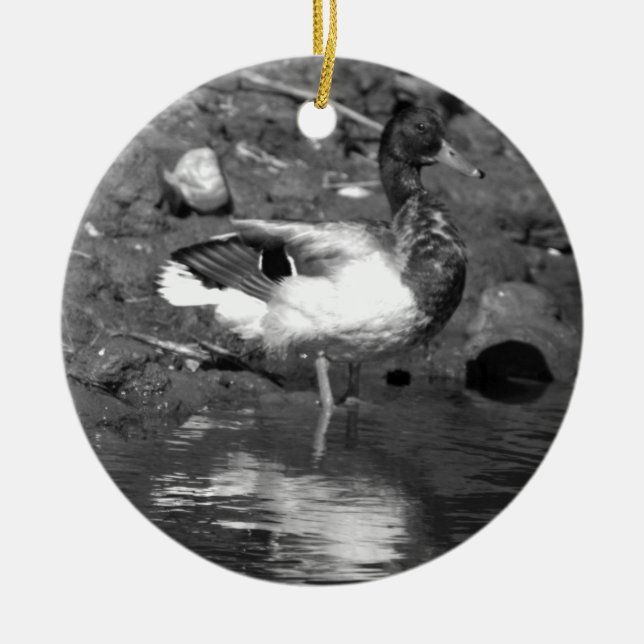 Ornement de canard de Mallard (Devant)