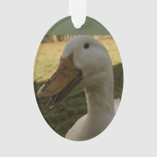 Ornement de canard de Pekin
