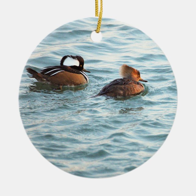 Ornement de canards Harle huppé (Devant)