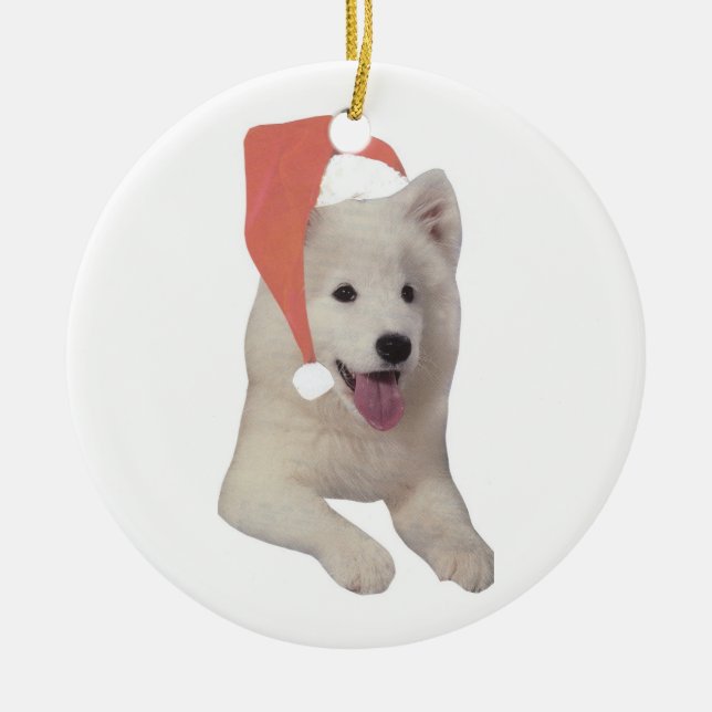 Ornement de casquette de Père Noël de Samoyed (Devant)
