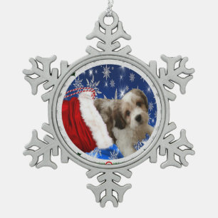 Ornement de Cavachon, Noël
