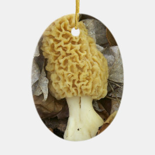 Ornement de champignon de morelle