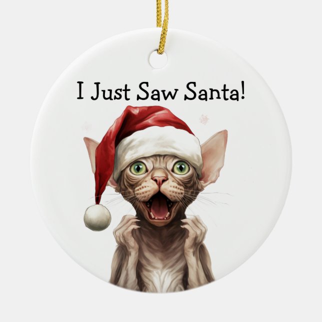 Ornement de chat de Noël (Devant)