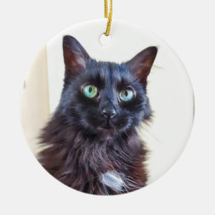 Ornement de chat noir