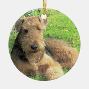 Ornement de chien d'Airedale Terrier