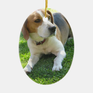 Ornement de chien de beagle
