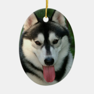 Ornement de chien de traîneau